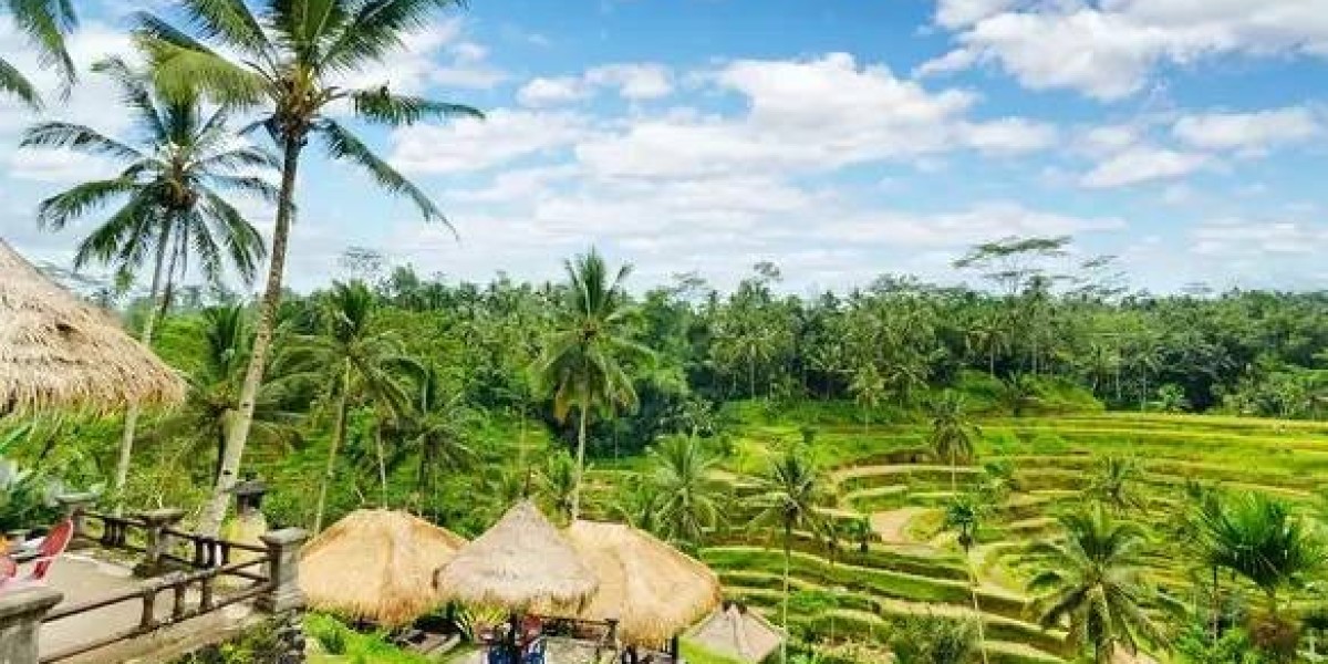 Enchanting Indonesia: A 6-Day Journey Through Bali's Wonders